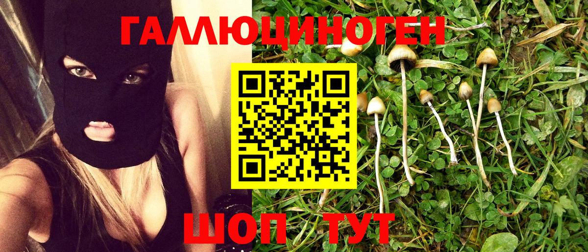 Нефтекумск  Псилоцибиновые грибы GOLDEN TEACHER  Псилоцибиновые грибы ЛСД  Вход с VPN 